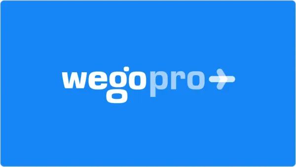 Productivity Hacks To Maximize Time - WegoPro